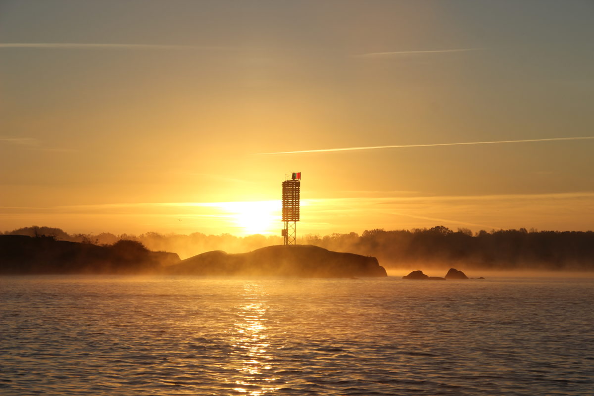 VILKA JÄVLA VECKOR!