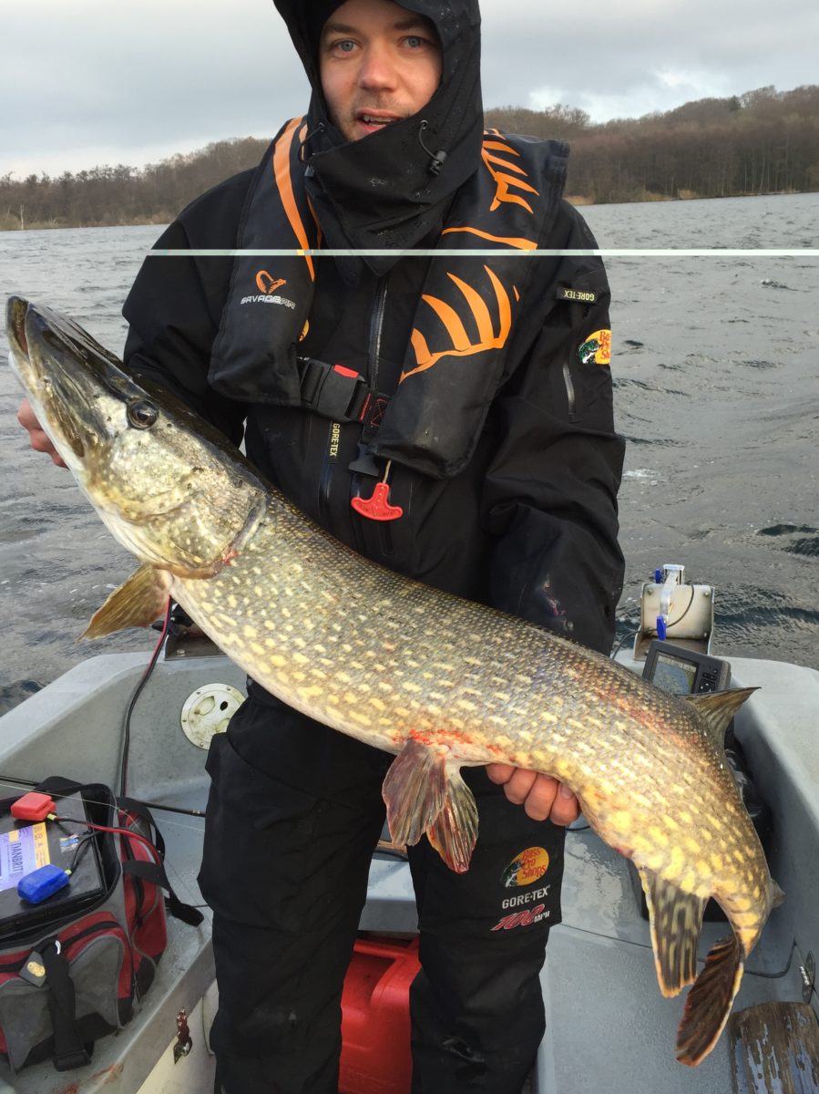 Over 9 kg i snitt.