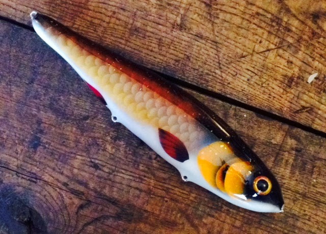 carp1(1)