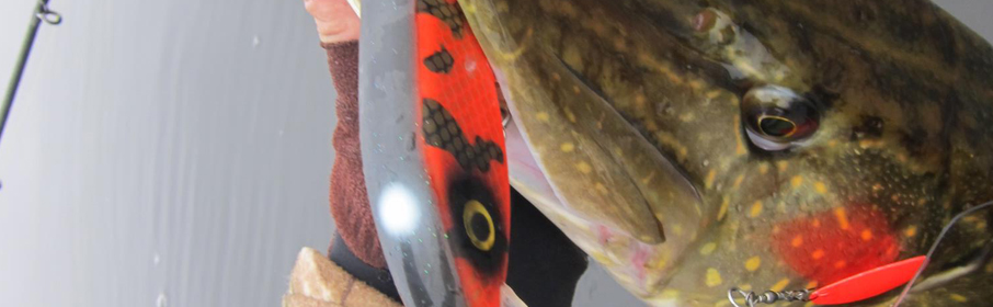 SvartZonker McHybrid Big