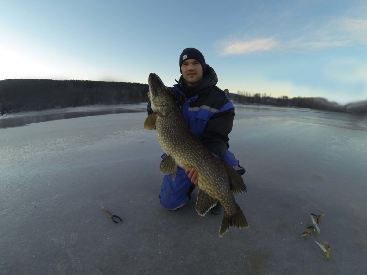 Martin Werner med 2st över 11kg
