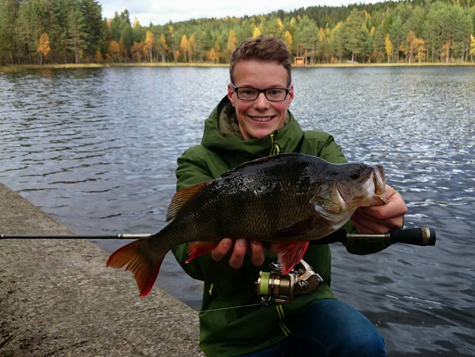 En del spennende videor fremmover for finessfiskeren.