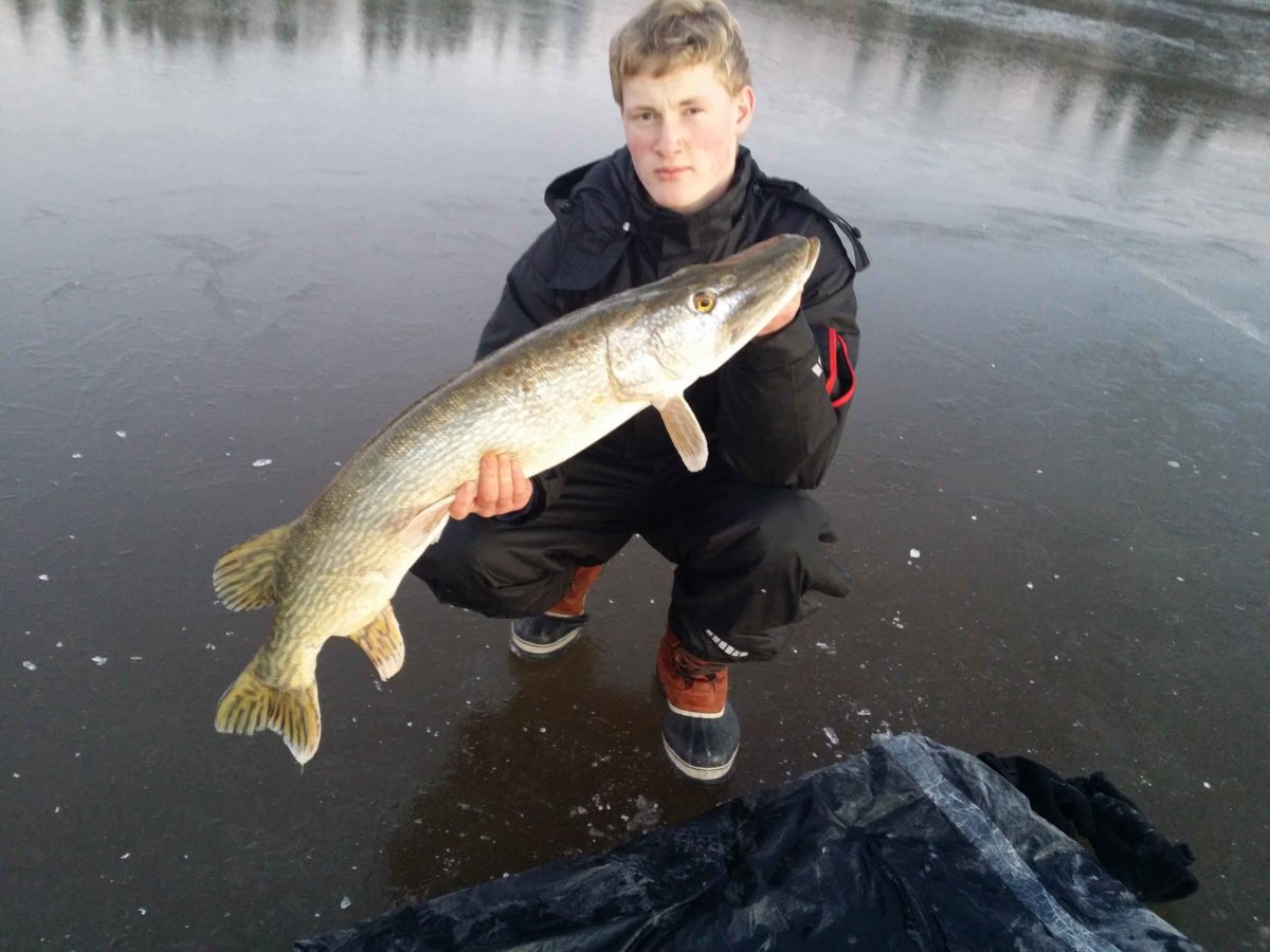 Nils Gedde med sina två första gäddor