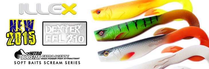 Dexter eel pool demo.