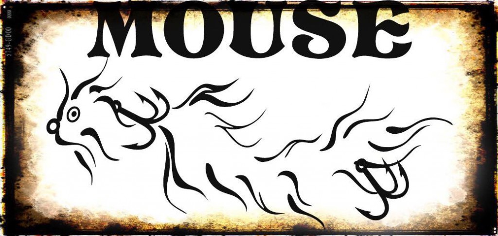 10921608_922573237761772_4945362766550902875_o