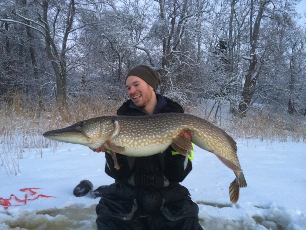 Gustav Månsson med en vacker 11:a