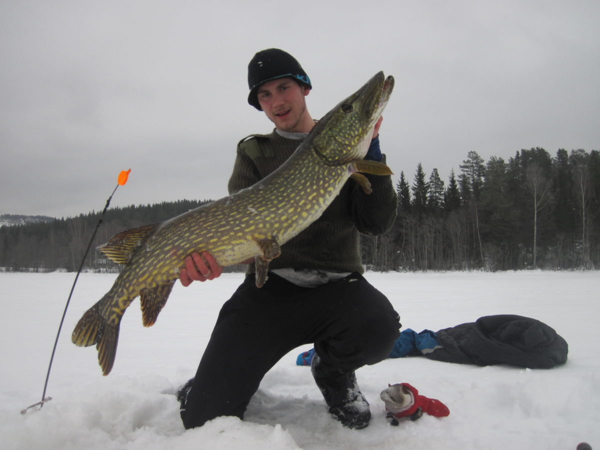 Morten Opsahl med 11+