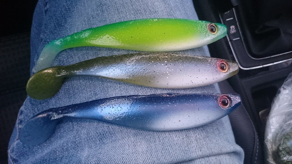 Pikewallis shad 14cm pooldemo