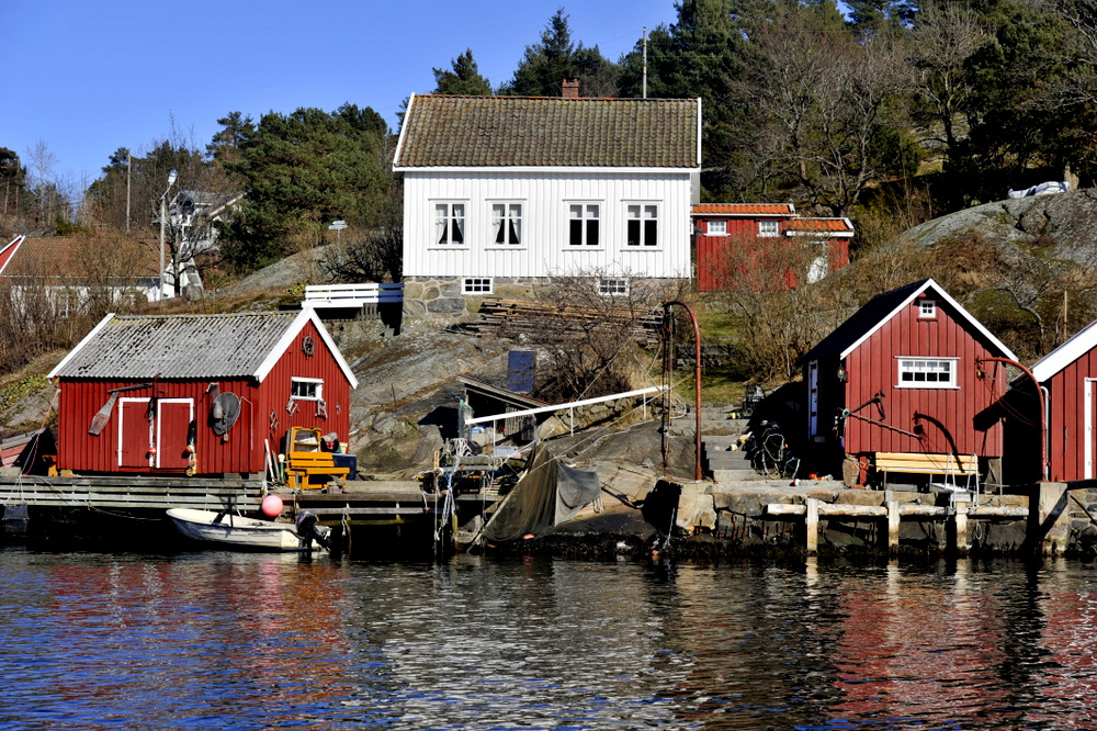 Fiskefilm fra helgens fisketur etter SØ på Sørlandet.