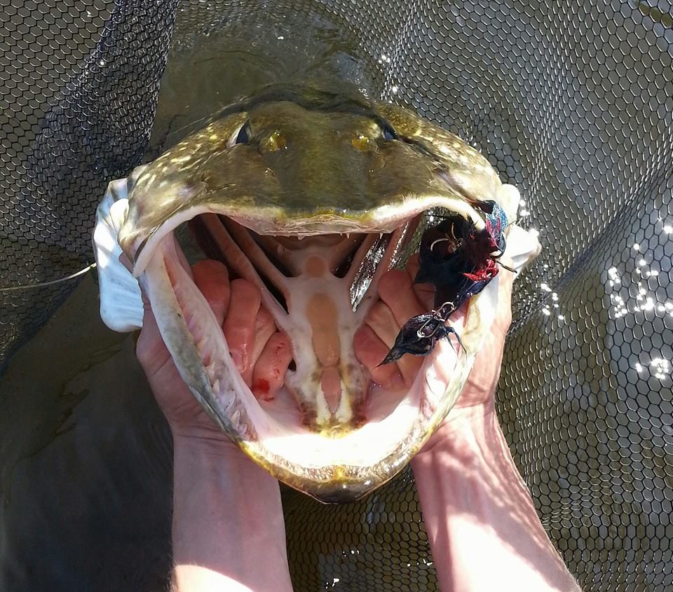 Tony Andersson viser at det er mulig.