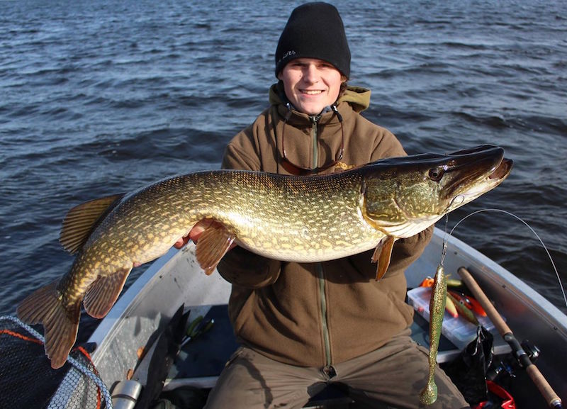 Roy Ridbäck, vakker 7pluss.
