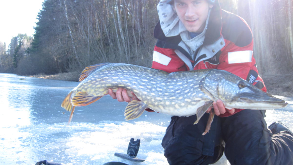 Morten Opsahl med 7+