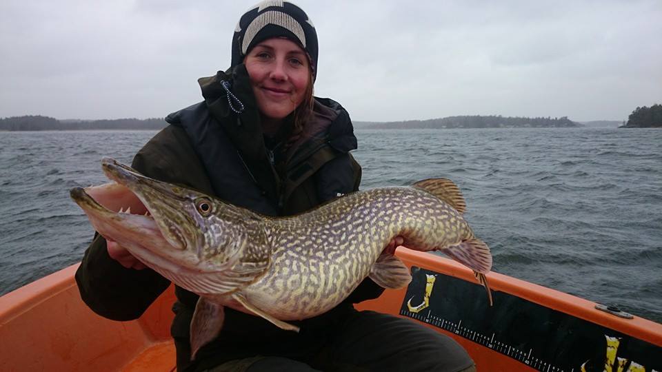 Rebecka Svensson med tre fina gäddor