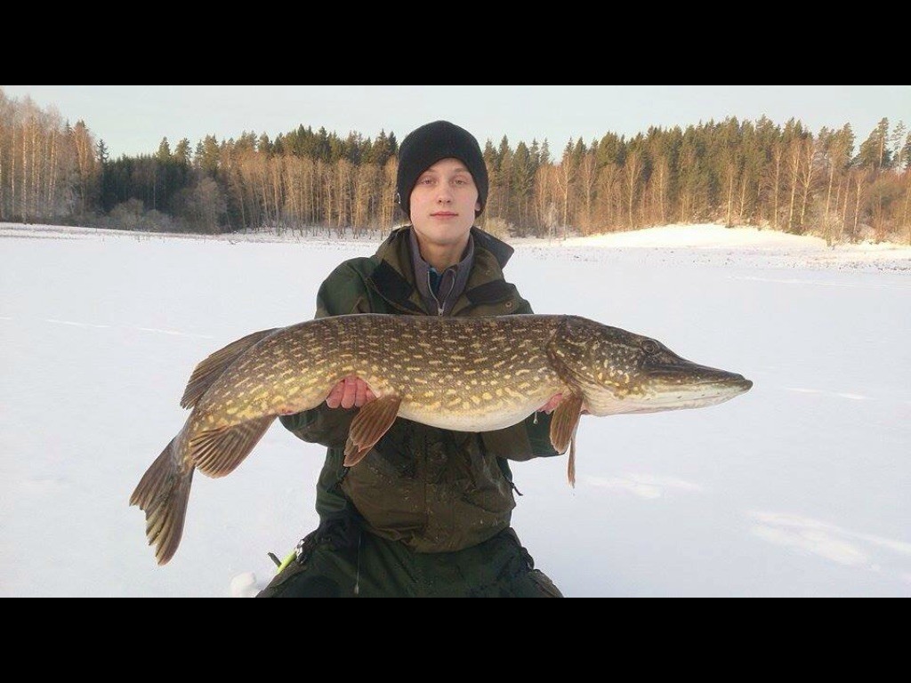 3 gäddor på Erik Sandelin