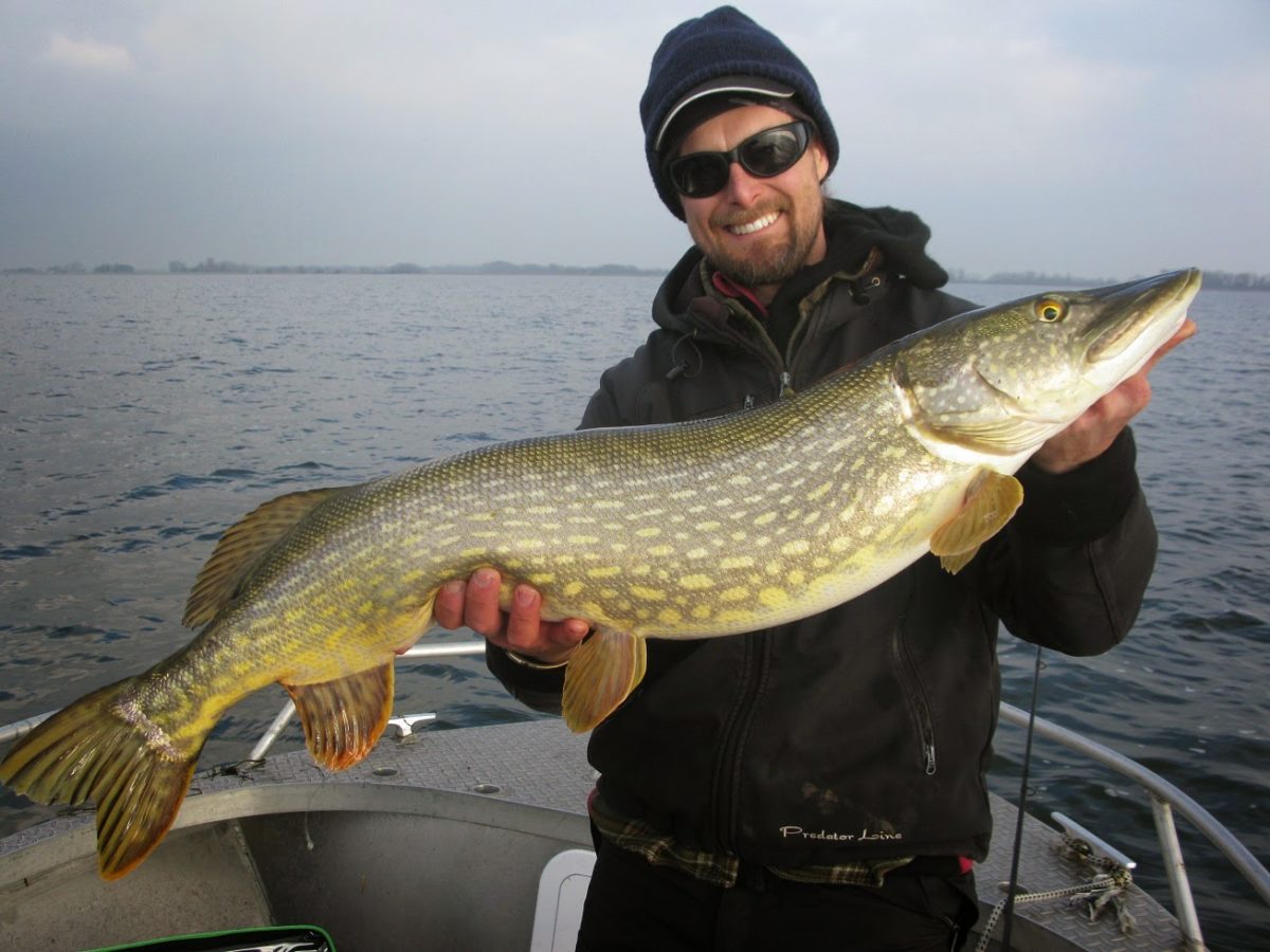 Henrik Stale på Rügen