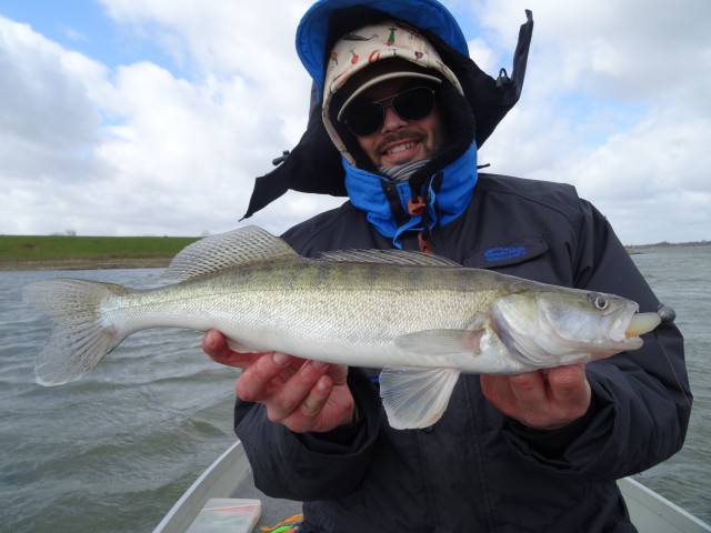 Ook deze snoekbaars had geen schijn van kans. Perfect gehaakt.