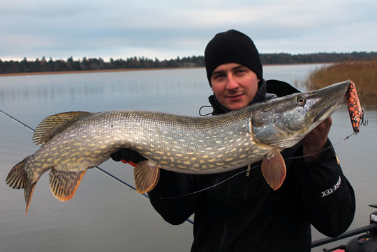 Föreläsning om Gäddfabriker och sportfiske i Oxelösund