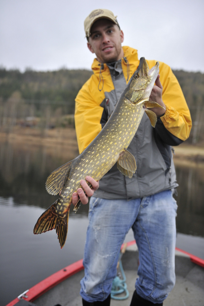 en ny OK pike på Hr. Nilsson