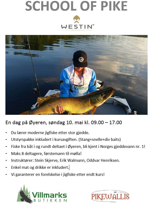 School of pike med villmarksbutikken.