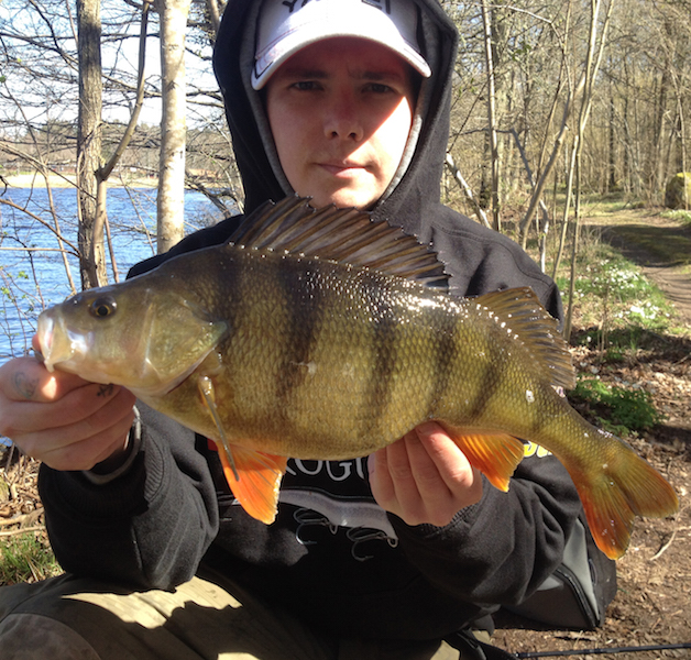 david skinnet axelsson