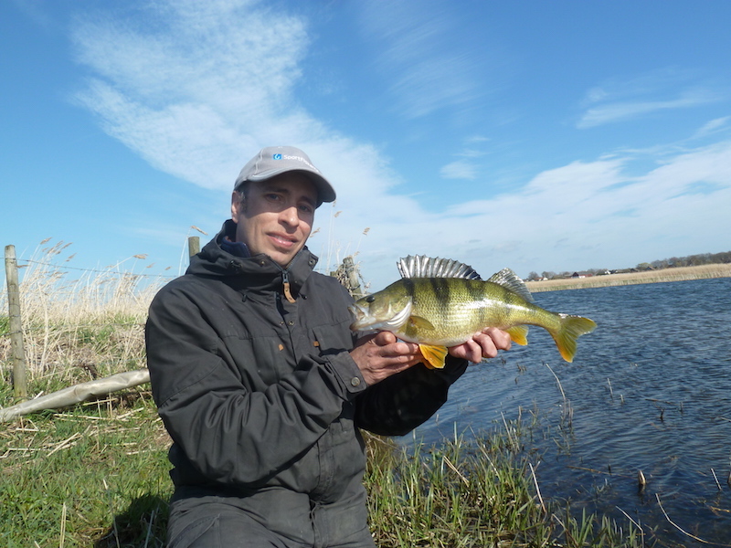 Patrik Nilsson med 3 grymme abbor