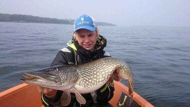 tommie  magnusson