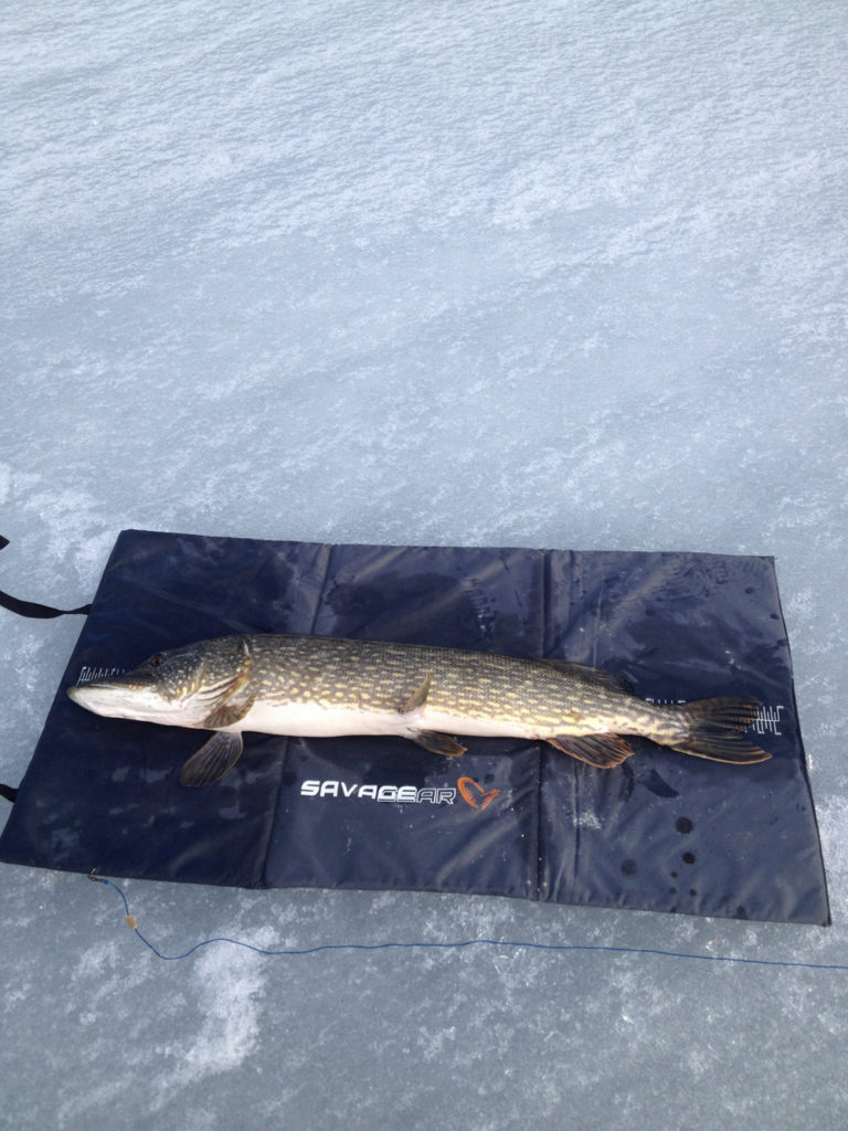 8030g 110cm3