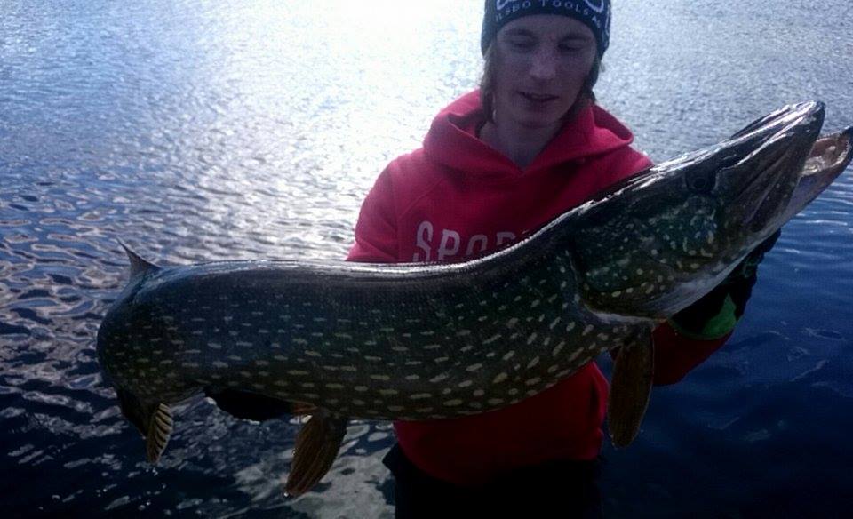 8+ Rasmus Celander