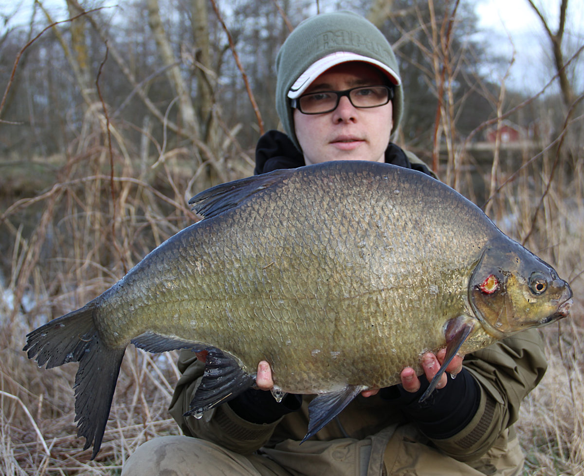 Superfiske med många arter (Rapala Proguide)