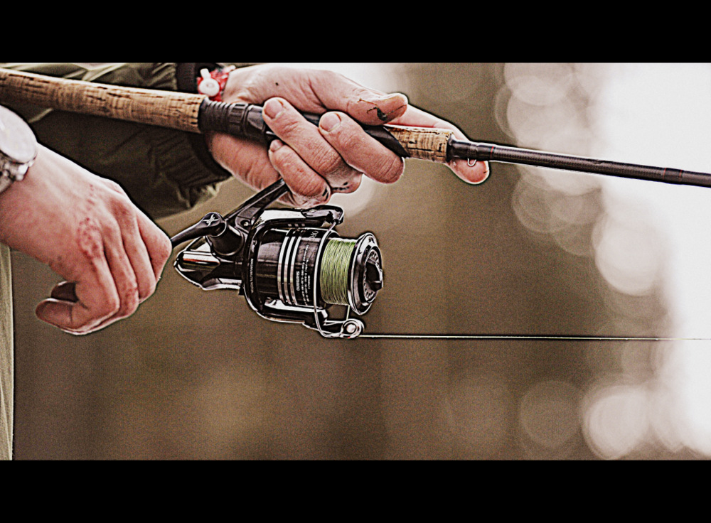 På nytt et meget bra antall fisk, , men hvor er de store ?