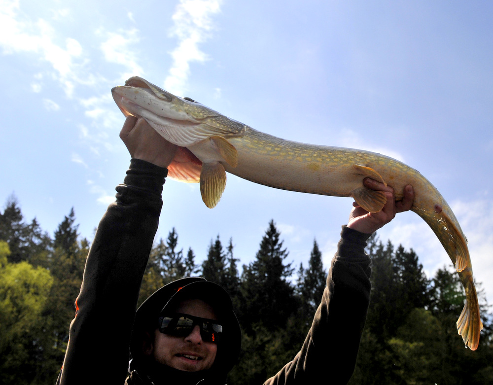 Det var Tony som holdt oss i gang.