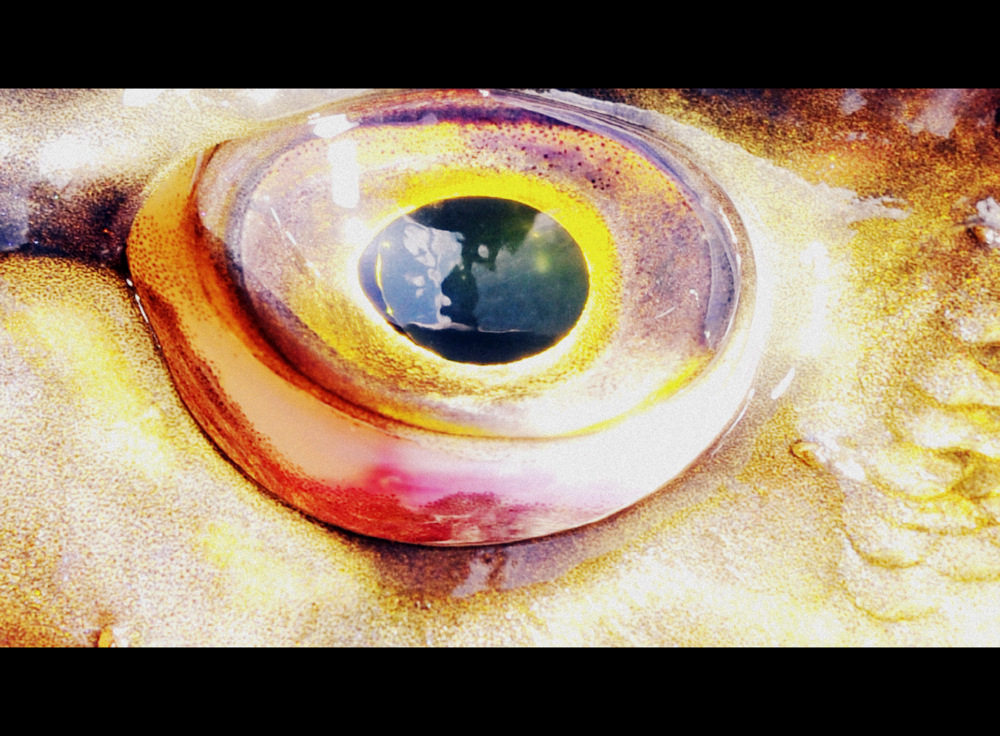 Det ble akuratt som forventet.