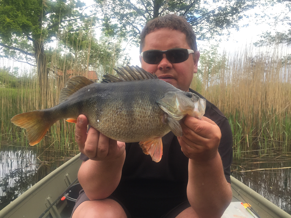 1240g Magnus Diesner