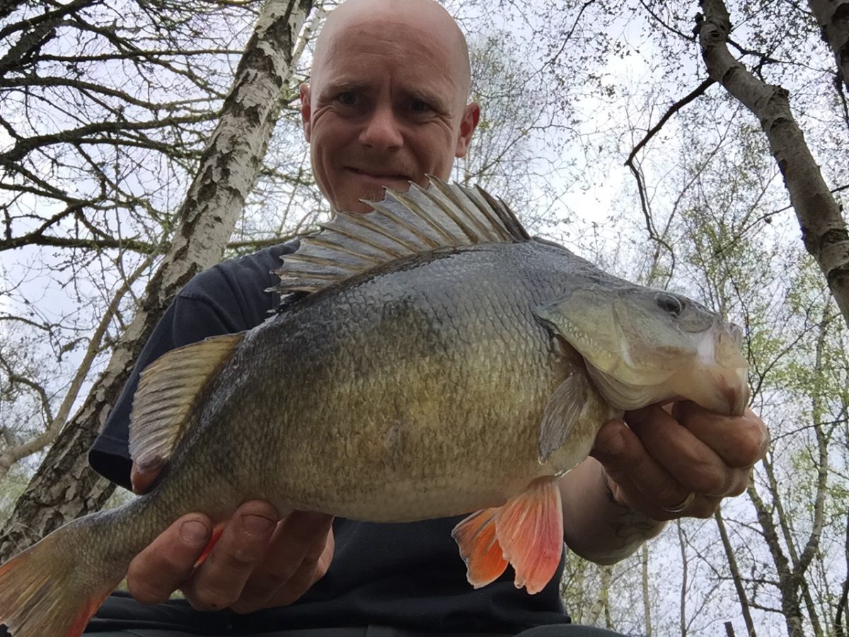 2 abborrar på Tobias  Ahlström