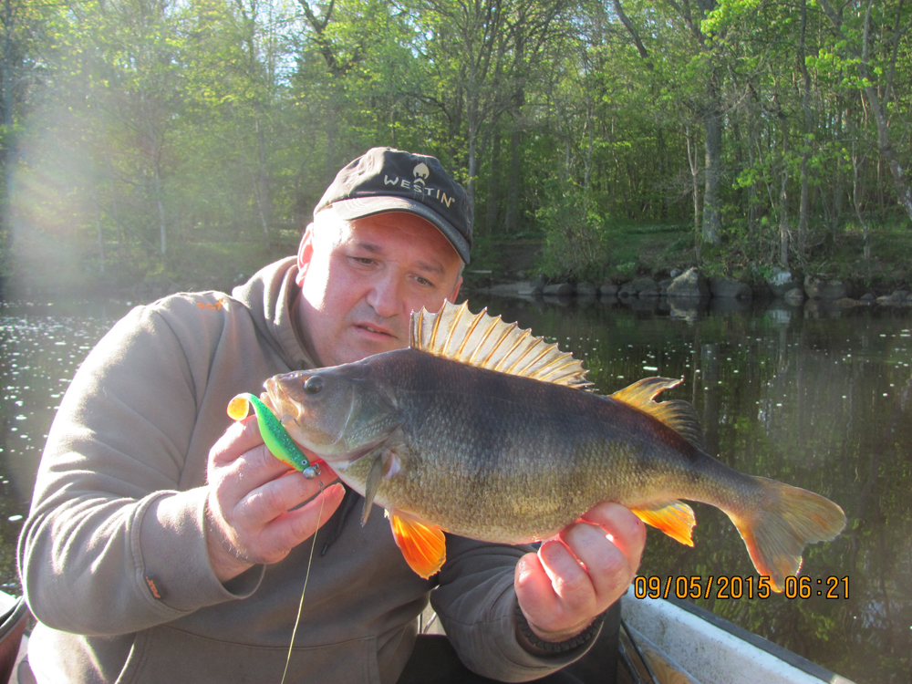 1540g Dejan  Milosevic