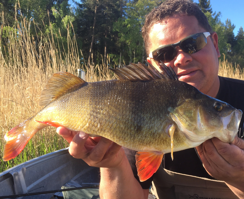 Två grymma borrar på Magnus Diesner