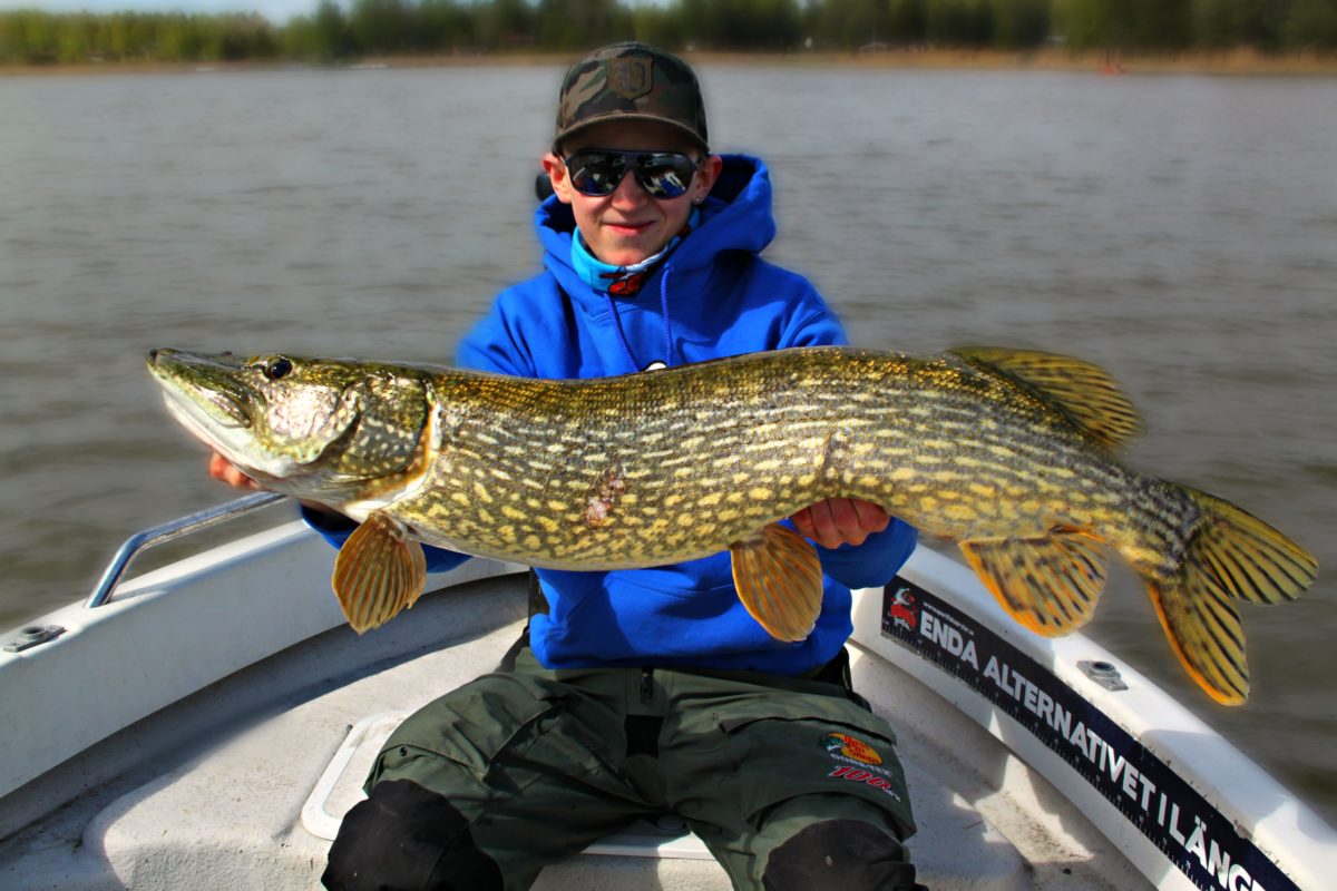 Spinnerbait Madness! Rasmus er ny bloggare på Søder sportfiske.