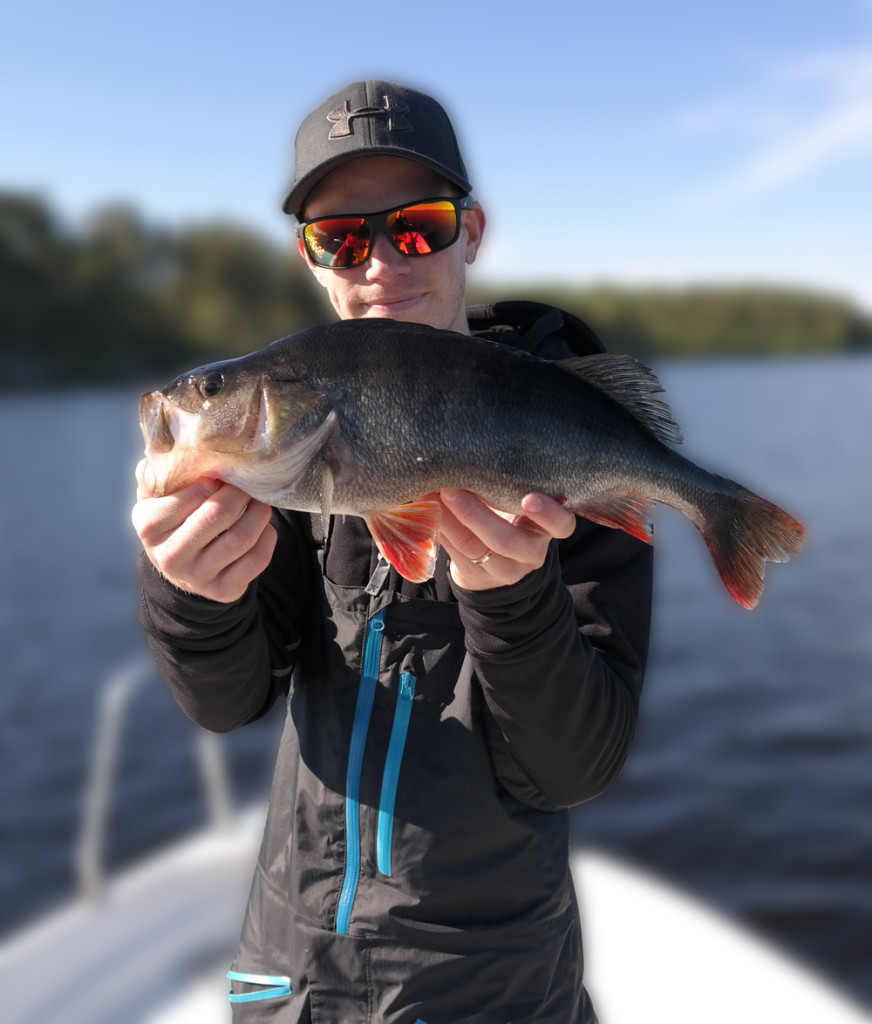 1558da5561317d---image