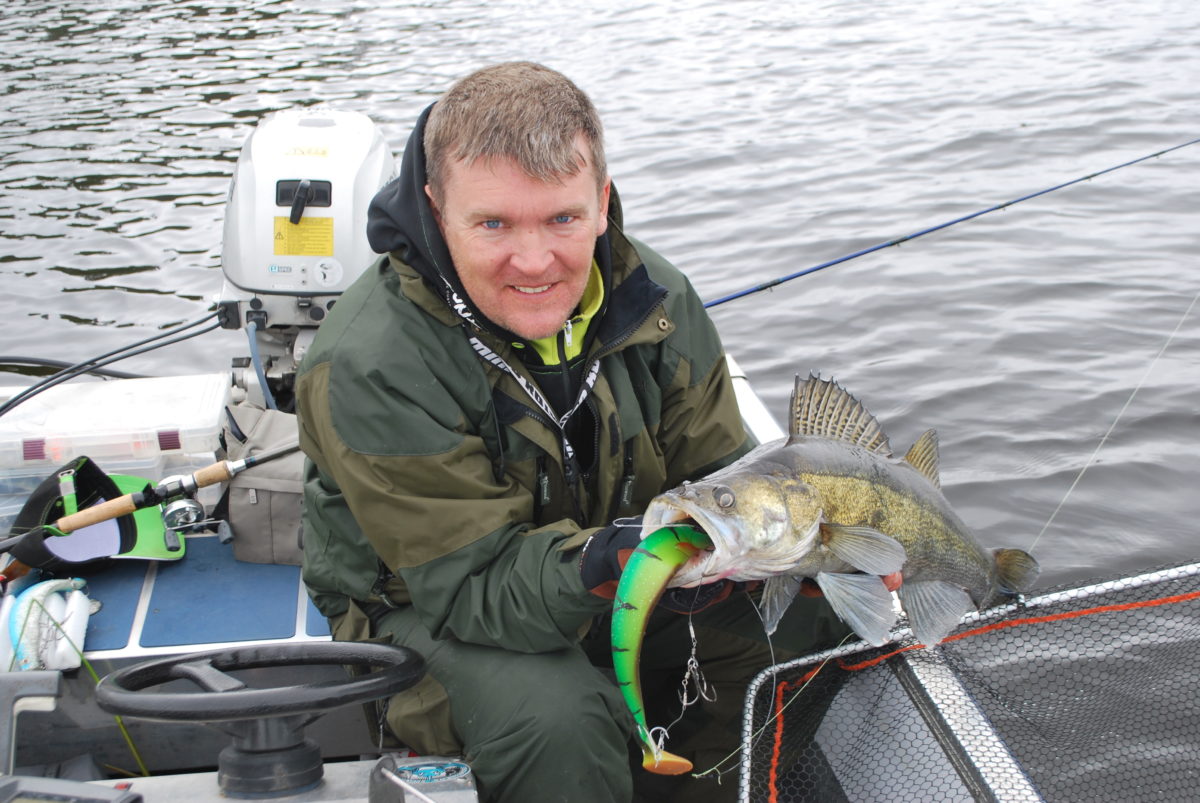 Dextershad 34 cm Zander Candy…….?
