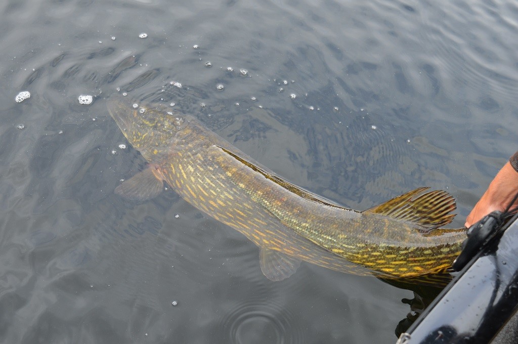 BAM!!!!!!!!!!!!!!!!!!!