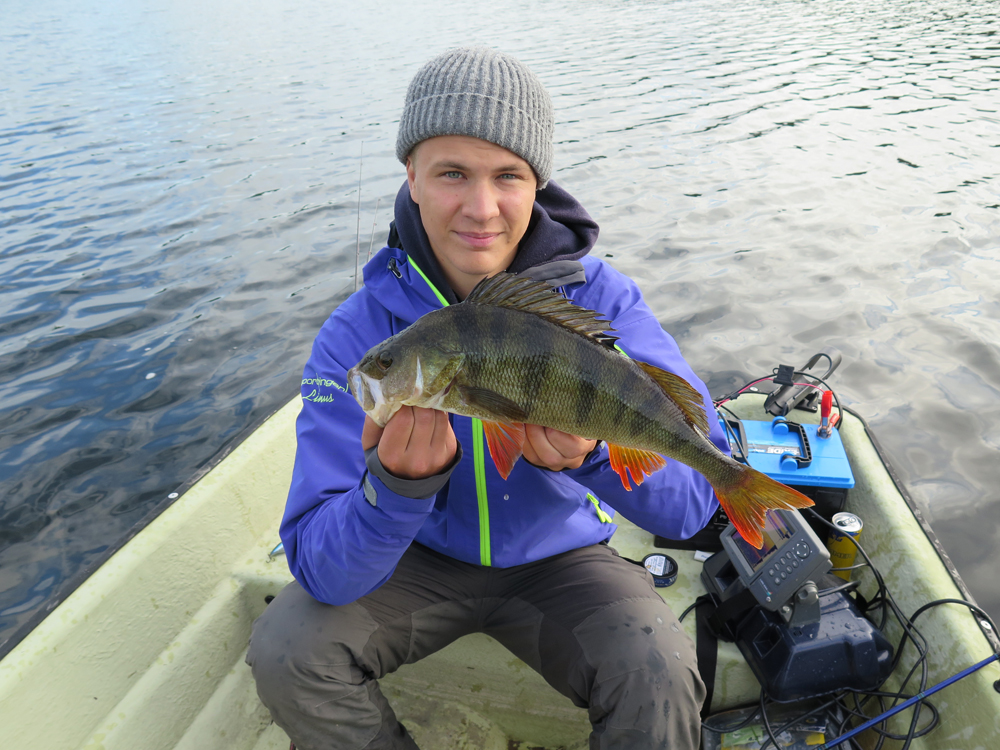 Abborre x4 Alexander Eriksson