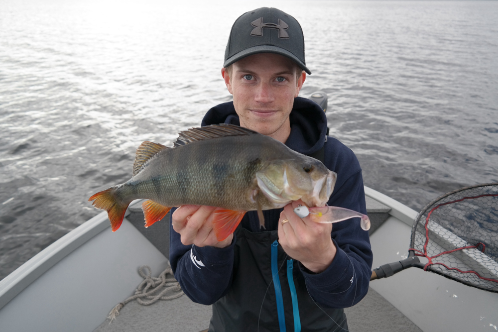 Abborre x2 Per Stenberg