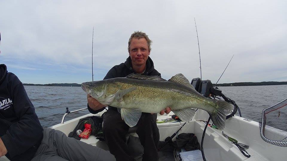 11805791_10153061172203997_103181677_n