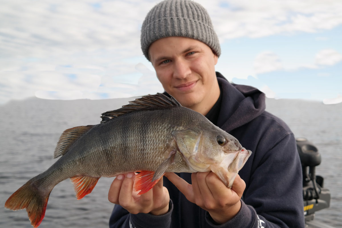 Abborre x2 Alexander Eriksson