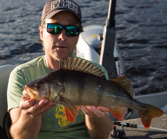 Johan Holmberg fyller abbor lista si…