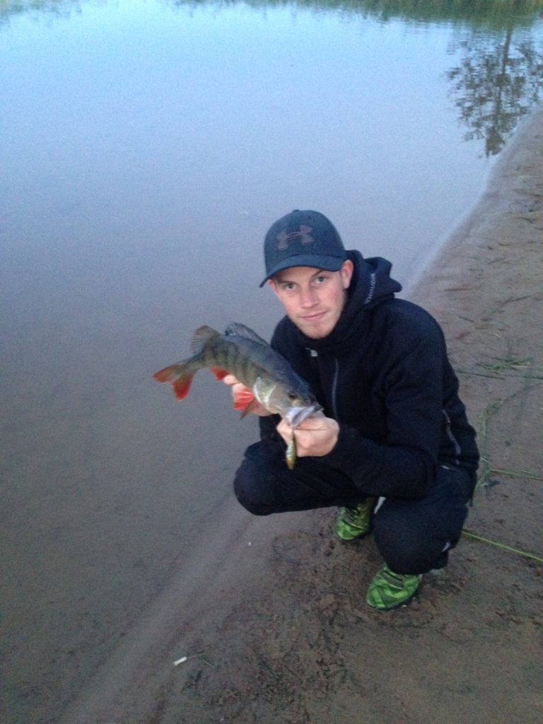 155ac8850bd2f8---image