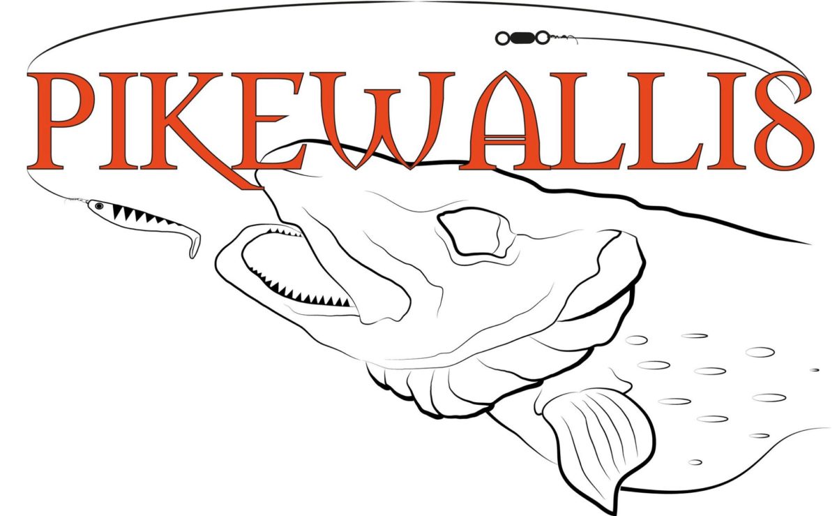 Da er det pooledemo av pikewallis aller siste shadd. 17cm.