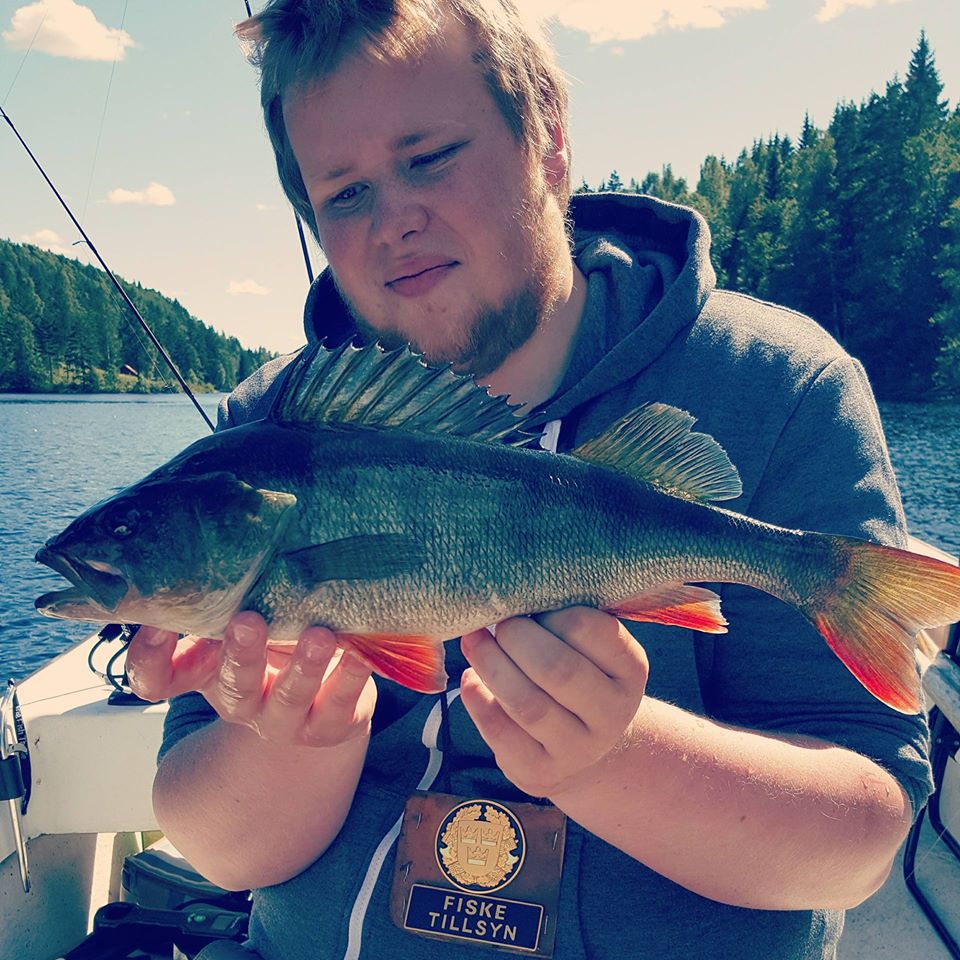 Abborre x2 Gustav Torstensson
