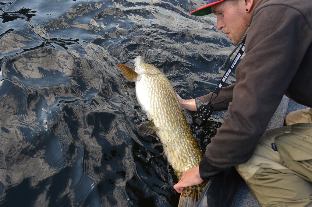 Sånn det burde være