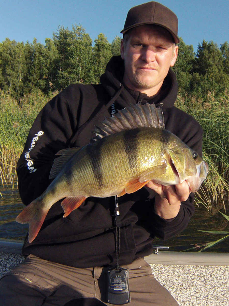 Patrik Jakobsson byter ut 3 abborrar